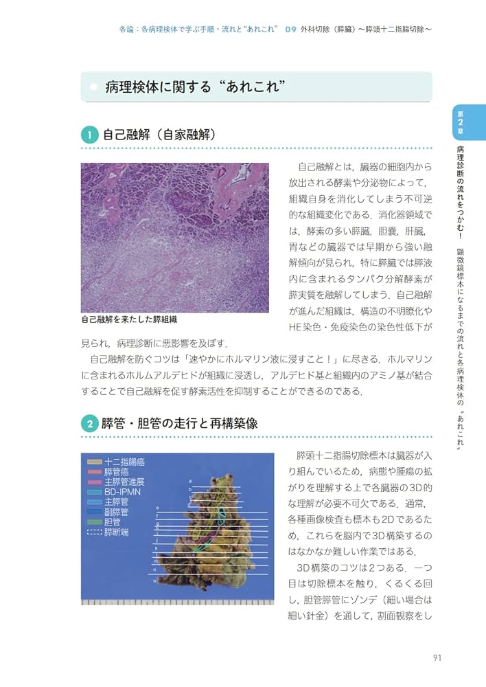 臨床に役立つ消化器病理 ギュッと1冊! まるごとBOOK-web動画付
